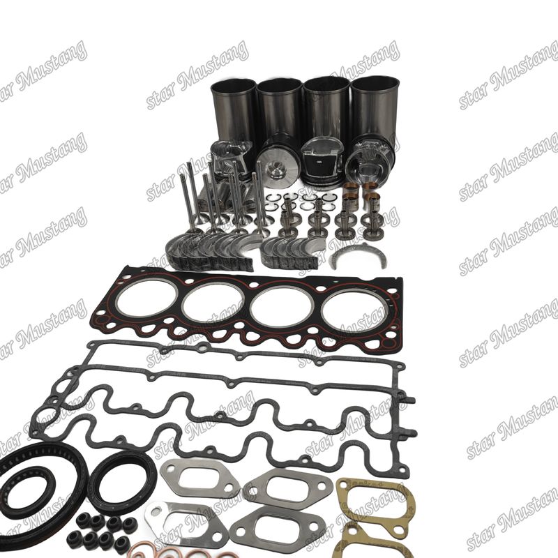 BF4M1011F Kit Perbaikan Overhaul Cylinder Liner Piston Kit Gasket Kit Valve Seat Guide Utama Dan Con Rod Bearing Untuk Deutz