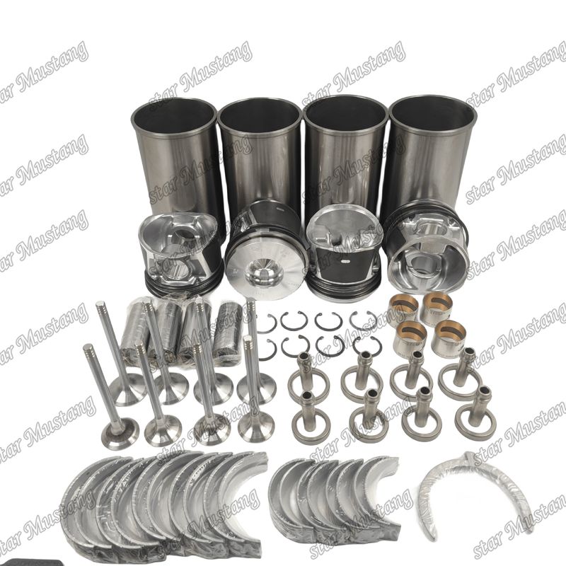 BF4M1011F Kit Perbaikan Overhaul Cylinder Liner Piston Kit Gasket Kit Valve Seat Guide Utama Dan Con Rod Bearing Untuk Deutz