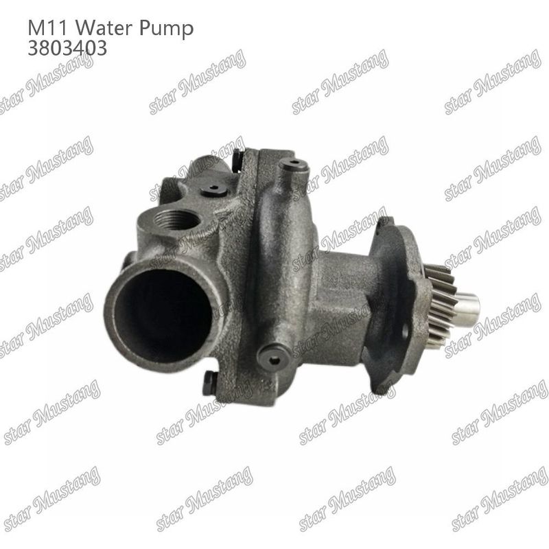 Pompa Air M11 4955706 4926553 Short Shaft Untuk CUMMINS Bagian perbaikan mesin diesel