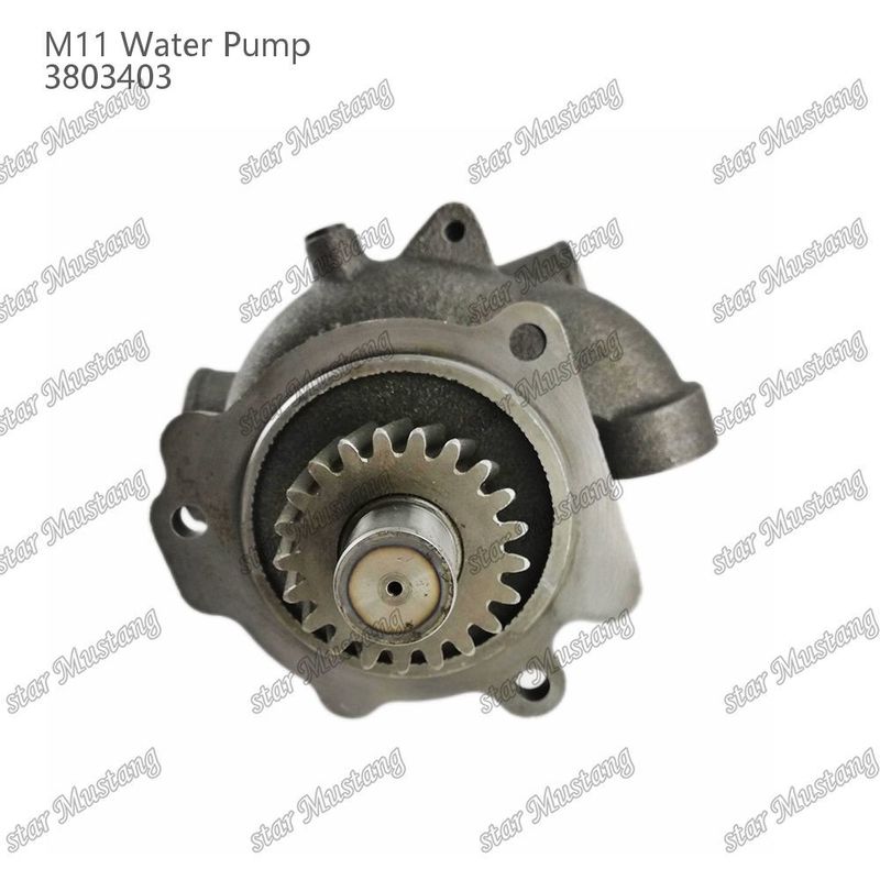 Pompa Air M11 4955706 4926553 Short Shaft Untuk CUMMINS Bagian perbaikan mesin diesel