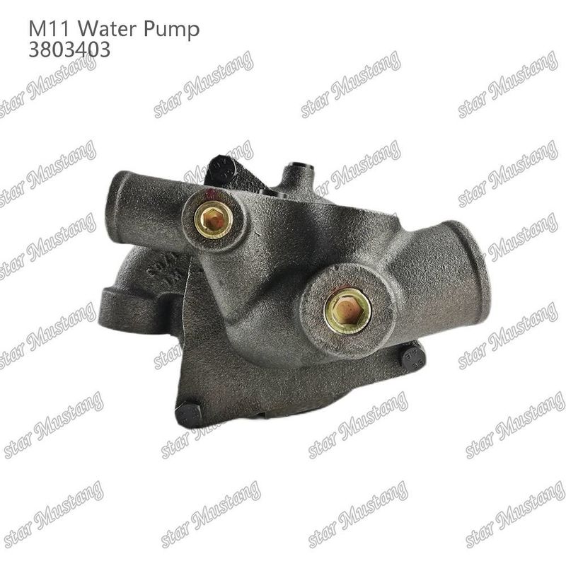 Pompa Air M11 4955706 4926553 Short Shaft Untuk CUMMINS Bagian perbaikan mesin diesel