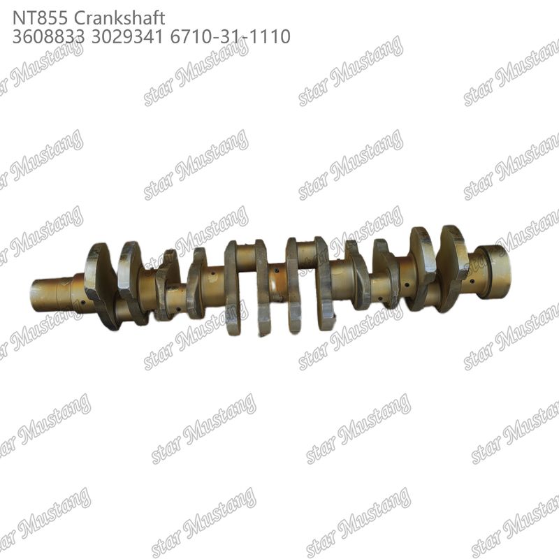 Crankshaft NT855 Baja tempa 3608833 3029341 6710-31-1110 Untuk Bagian Mesin Diesel Cummins