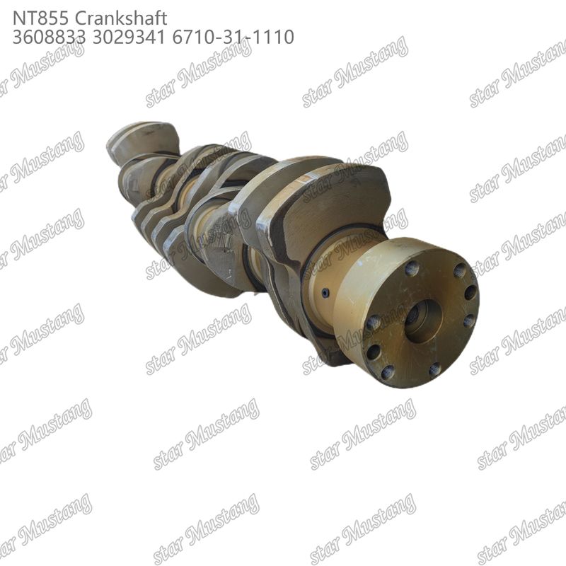 Crankshaft NT855 Baja tempa 3608833 3029341 6710-31-1110 Untuk Bagian Mesin Diesel Cummins