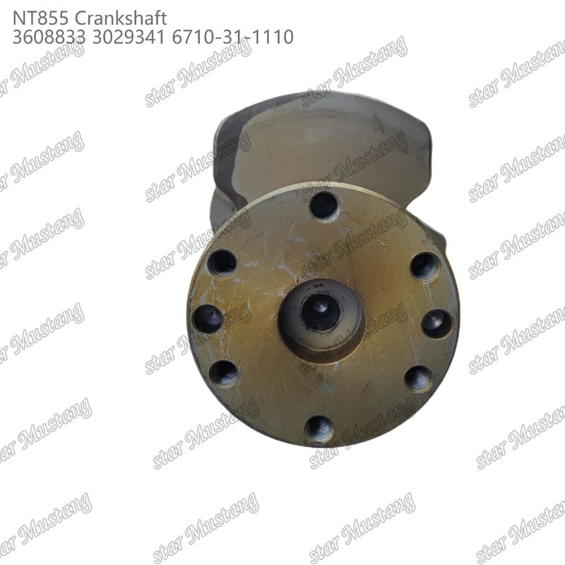 Crankshaft NT855 Baja tempa 3608833 3029341 6710-31-1110 Untuk Bagian Mesin Diesel Cummins