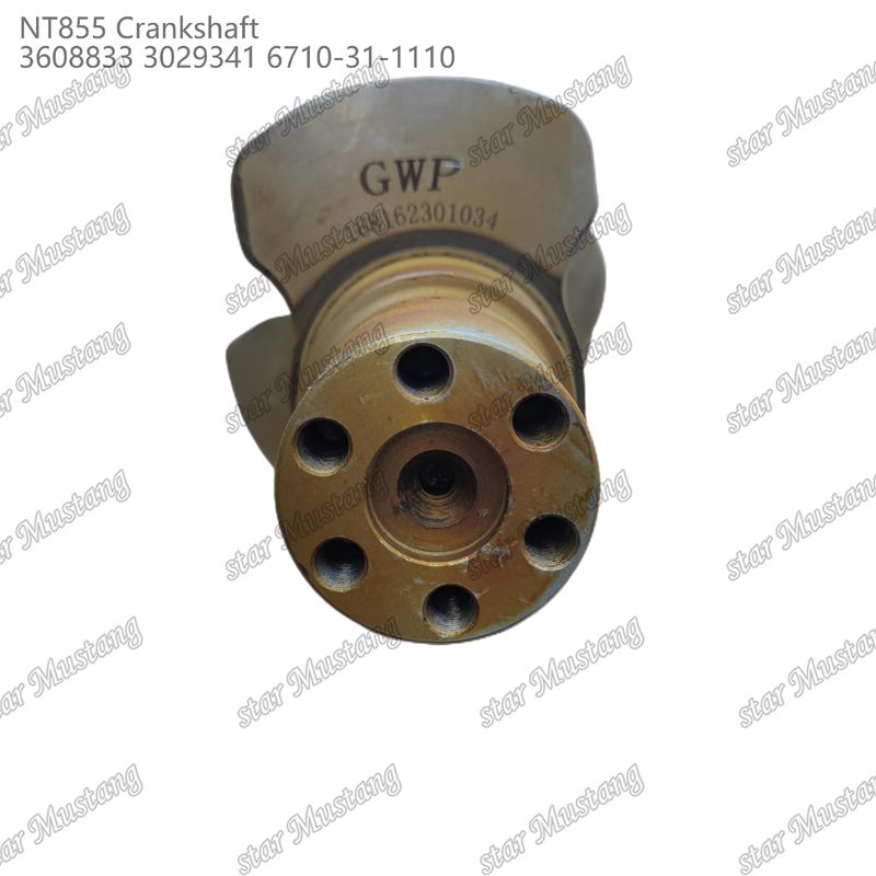 Crankshaft NT855 Baja tempa 3608833 3029341 6710-31-1110 Untuk Bagian Mesin Diesel Cummins