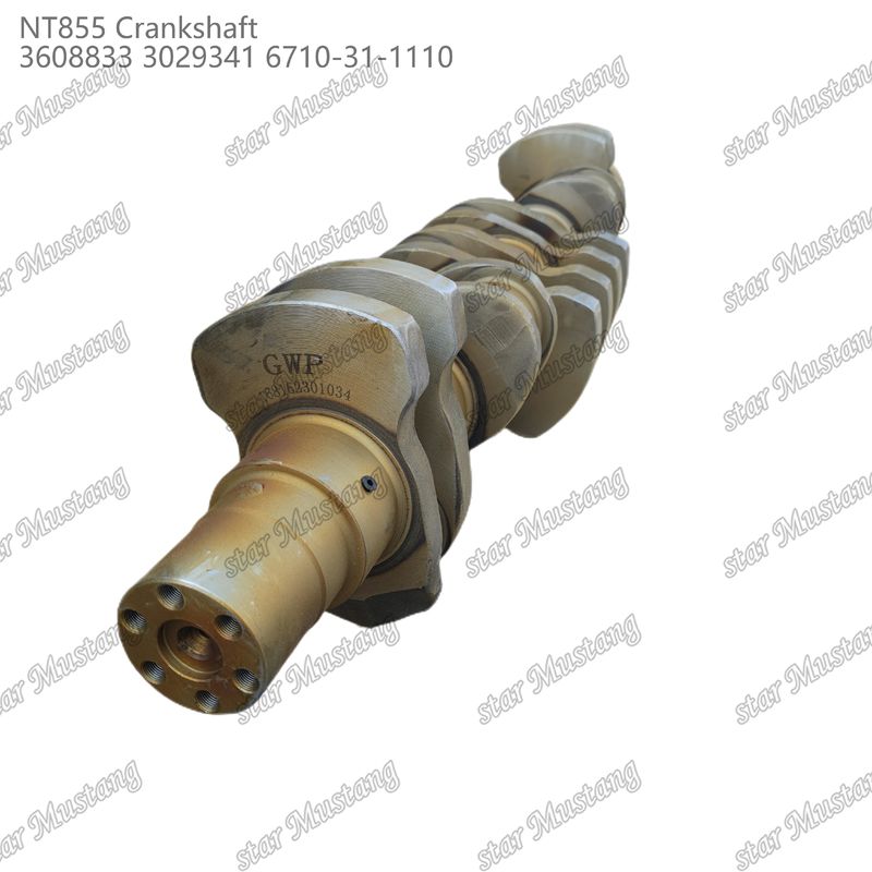 Crankshaft NT855 Baja tempa 3608833 3029341 6710-31-1110 Untuk Bagian Mesin Diesel Cummins