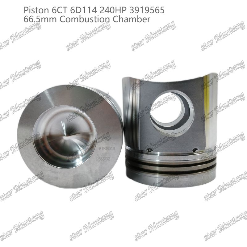 Piston 6CT 6D114 240HP 3919565 66.5mm Kamar Pembakaran Untuk Bagian Perbaikan Mesin Diesel Cummins