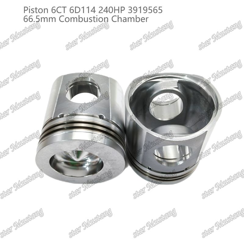 Piston 6CT 6D114 240HP 3919565 66.5mm Kamar Pembakaran Untuk Bagian Perbaikan Mesin Diesel Cummins