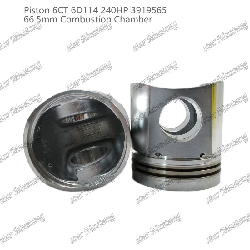 Piston 6CT 6D114 240HP 3919565 66.5mm Kamar Pembakaran Untuk Bagian Perbaikan Mesin Diesel Cummins