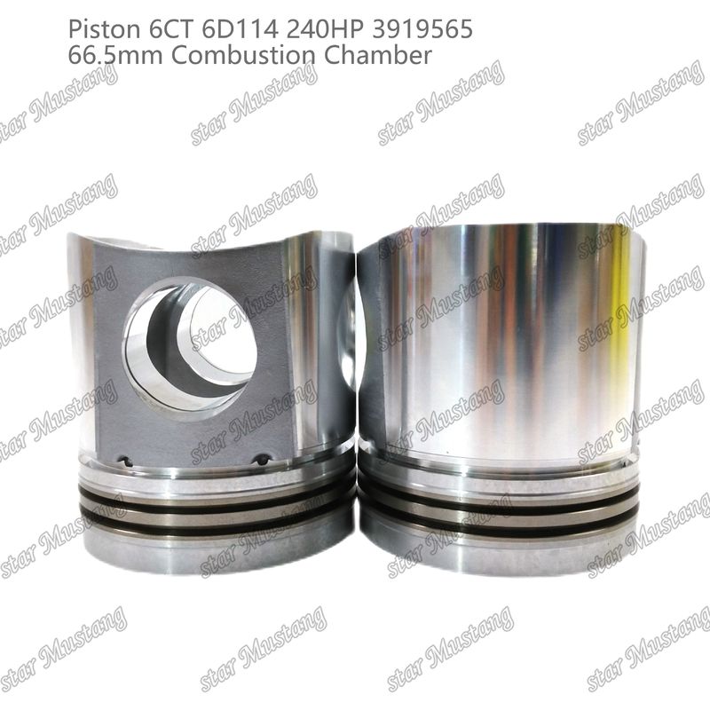 Piston 6CT 6D114 240HP 3919565 66.5mm Kamar Pembakaran Untuk Bagian Perbaikan Mesin Diesel Cummins