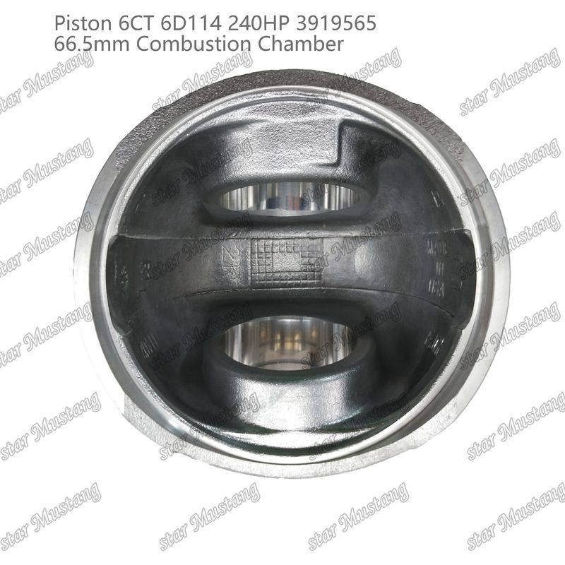 Piston 6CT 6D114 240HP 3919565 66.5mm Kamar Pembakaran Untuk Bagian Perbaikan Mesin Diesel Cummins