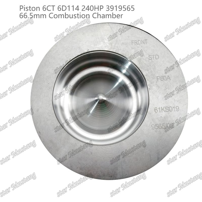 Piston 6CT 6D114 240HP 3919565 66.5mm Kamar Pembakaran Untuk Bagian Perbaikan Mesin Diesel Cummins