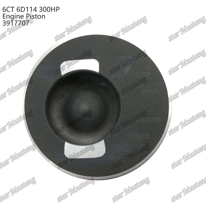 Piston 6CT 6D114 300HP 3917707 55mm Kamar Pembakaran Untuk Bagian Perbaikan Mesin Diesel Cummins