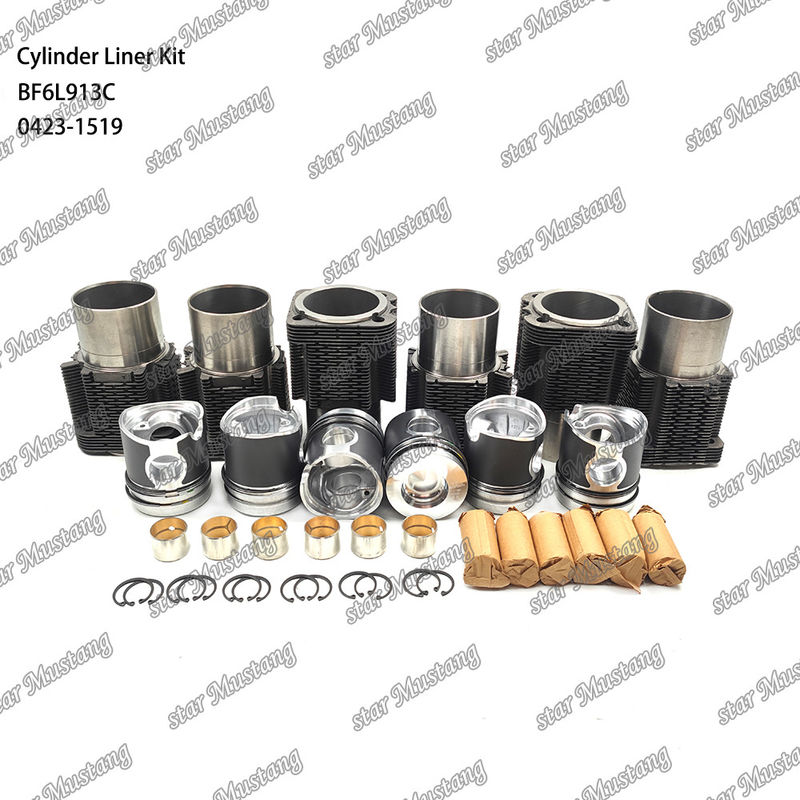 Kondisi baru Mesin Diesel Jenis Liner Kit Untuk BF6L913C 0423-1519