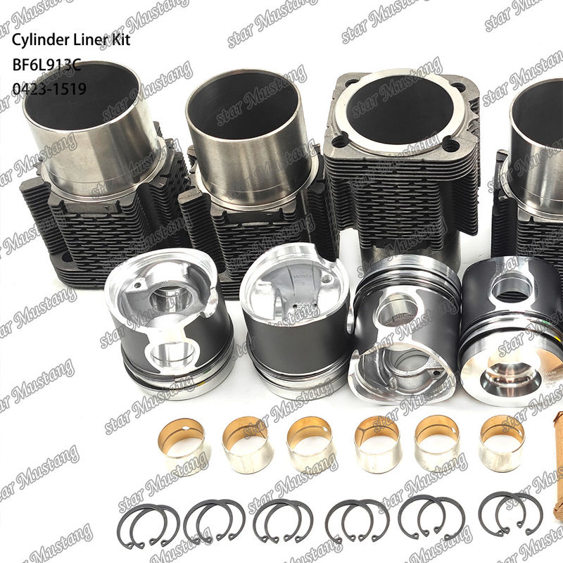 Kondisi baru Mesin Diesel Jenis Liner Kit Untuk BF6L913C 0423-1519