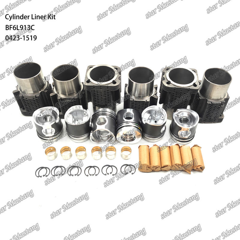 Kondisi baru Mesin Diesel Jenis Liner Kit Untuk BF6L913C 0423-1519