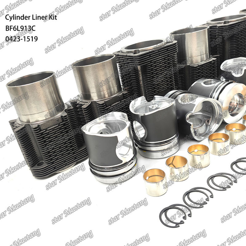 Kondisi baru Mesin Diesel Jenis Liner Kit Untuk BF6L913C 0423-1519