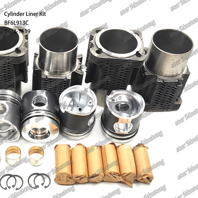 Kondisi baru Mesin Diesel Jenis Liner Kit Untuk BF6L913C 0423-1519
