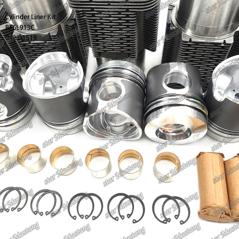 Kondisi baru Mesin Diesel Jenis Liner Kit Untuk BF6L913C 0423-1519