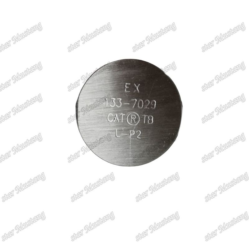 3176C C10 IN 7E9578 EX 133-7029 Katup untuk suku cadang mesin Caterpillar