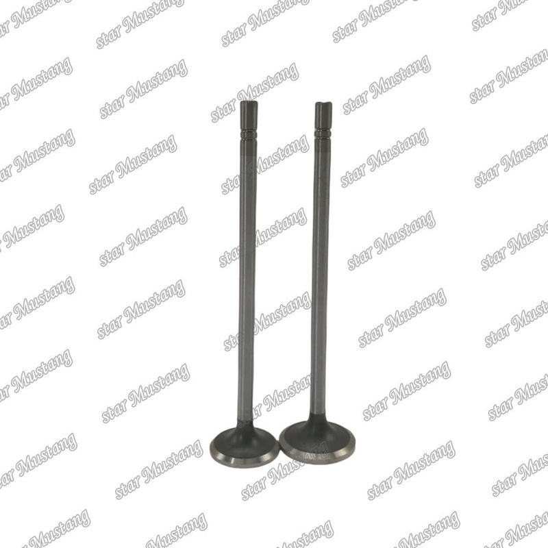 Klep C15 dalam 153-7023 ex 153-7024 Cocok untuk suku cadang mesin Caterpillar