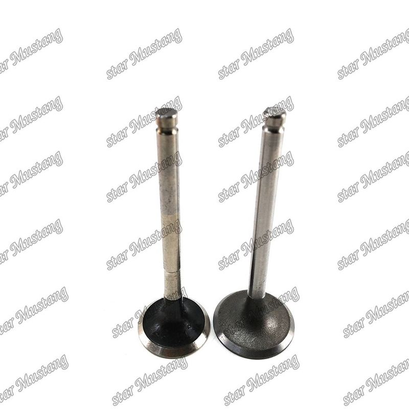 Katup 3KC2 IN 5-12551-024-0 EX 9-12552-240-0 Untuk suku cadang mesin Isuzu