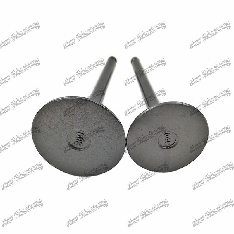 Katup 3KR1 8941190881 8-94119088-1 5125520462 5-12552046-2 Untuk suku cadang mesin Isuzu