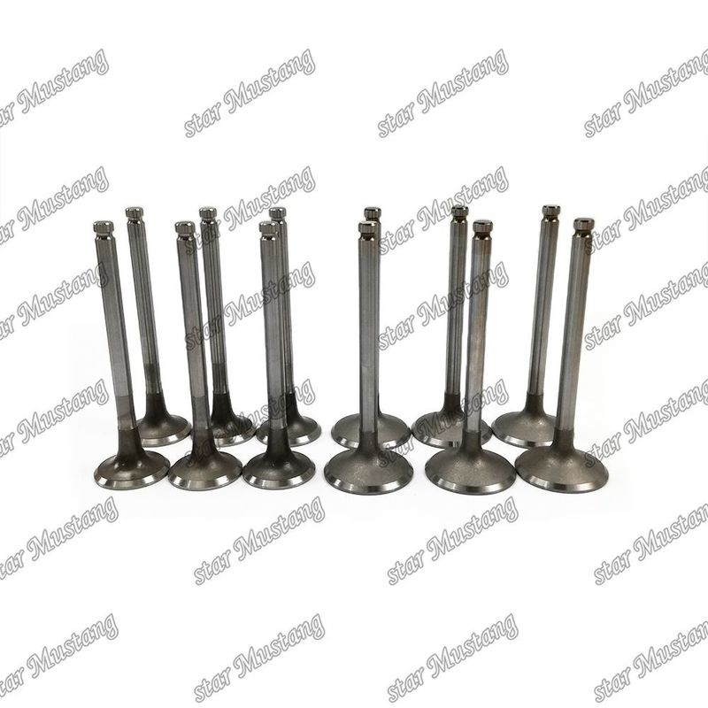 Klep mesin 6BD1 DB58 IN 65.01735-2558 EX 65.01734-267 Cocok untuk suku cadang mesin Isuzu