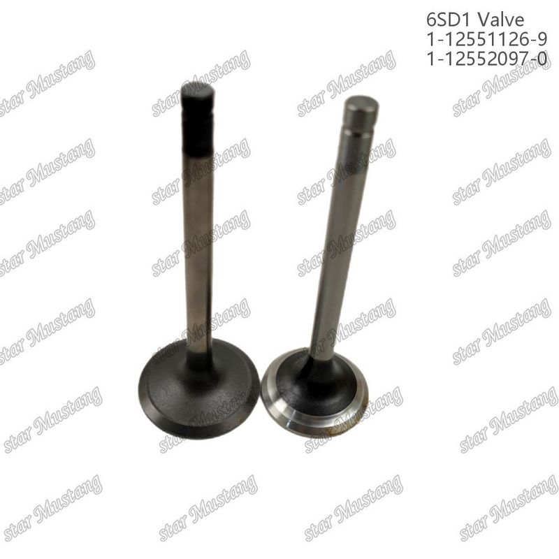 Katup 6SD1 1-12551126-9 1-12552097-0 Cocok untuk suku cadang mesin Isuzu