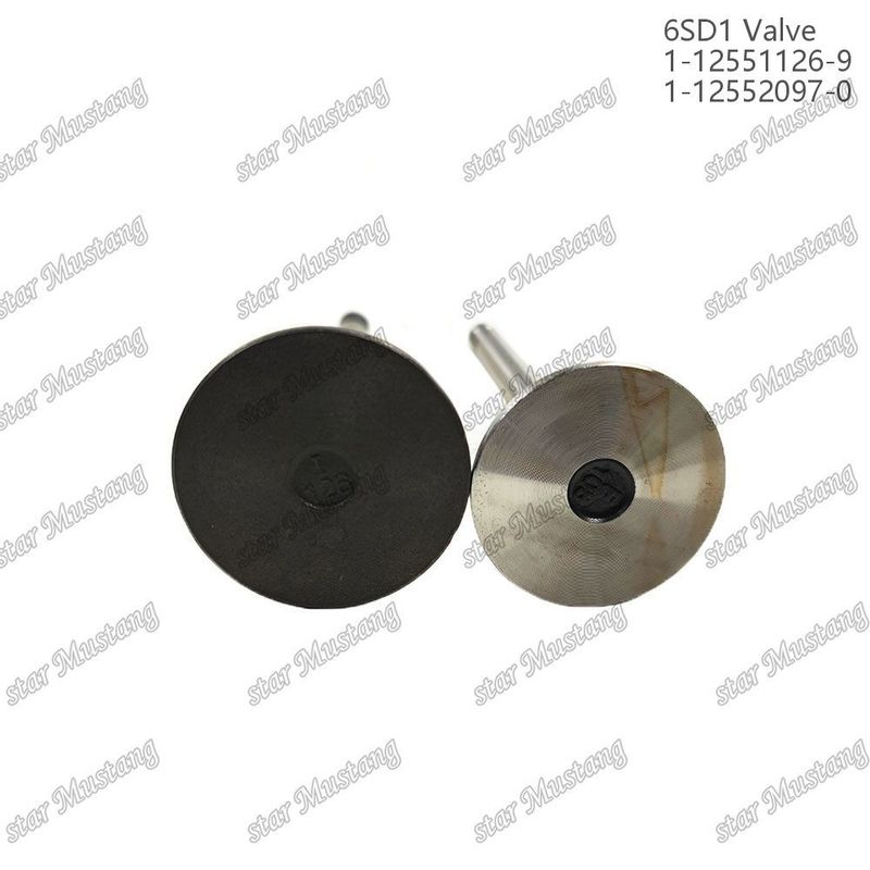 Katup 6SD1 1-12551126-9 1-12552097-0 Cocok untuk suku cadang mesin Isuzu