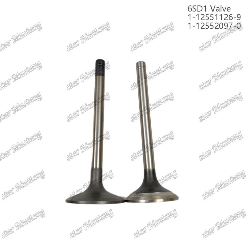 Katup 6SD1 1-12551126-9 1-12552097-0 Cocok untuk suku cadang mesin Isuzu