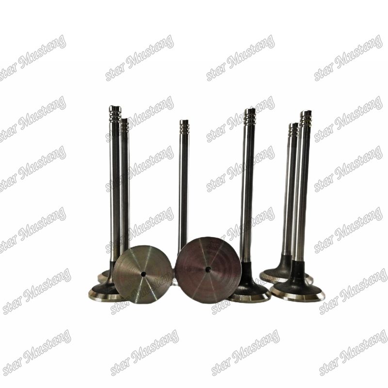 Mesin Diesel Tipe Input dan Exhaust Valve TCD2012 L042V 04285985 04285986 Cocok untuk suku cadang mesin Deutz