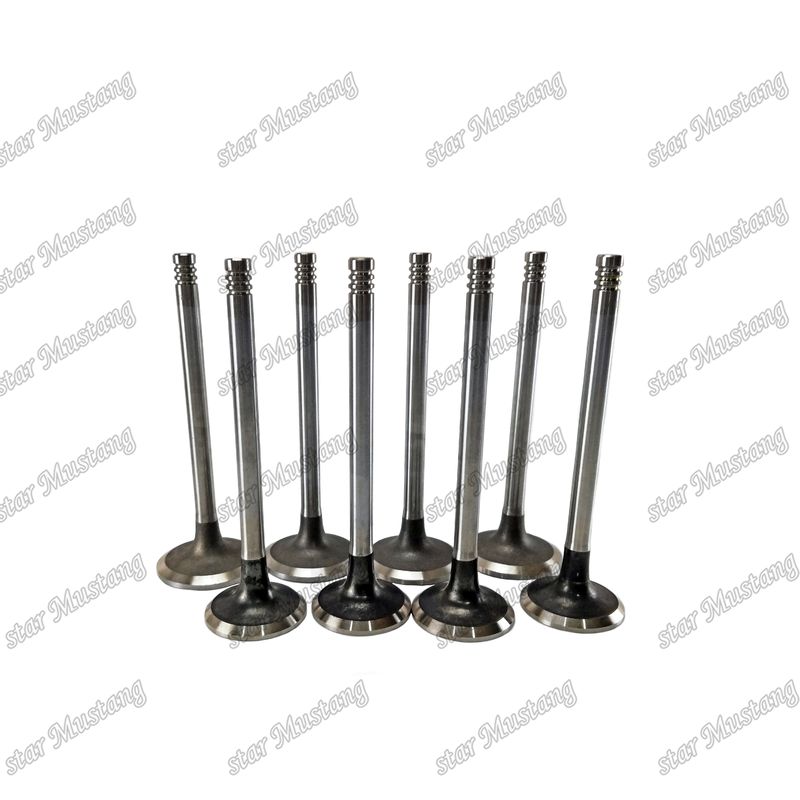 Mesin Diesel Tipe Input dan Exhaust Valve TCD2012 L042V 04285985 04285986 Cocok untuk suku cadang mesin Deutz