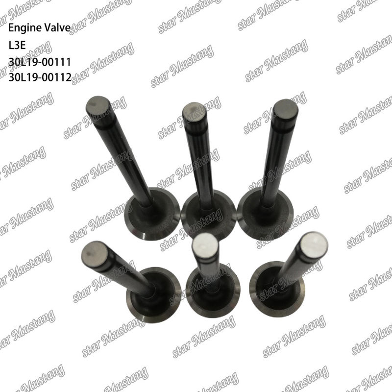L3E 30L19-00111 30L19-00112 katup mesin diesel cocok untuk suku cadang Mitsubishi