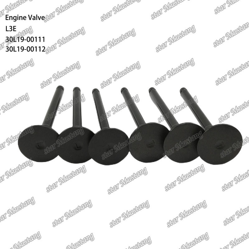 L3E 30L19-00111 30L19-00112 katup mesin diesel cocok untuk suku cadang Mitsubishi