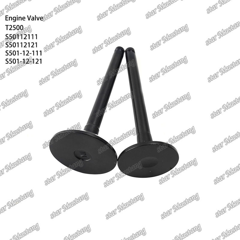Original Stock Integral Structure Valve T2500 S50112111 S50112121 S501-12-111 S501-12-121 Bagian mesin
