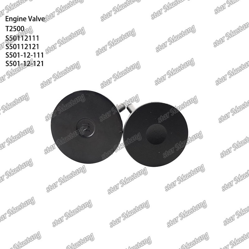 Original Stock Integral Structure Valve T2500 S50112111 S50112121 S501-12-111 S501-12-121 Bagian mesin