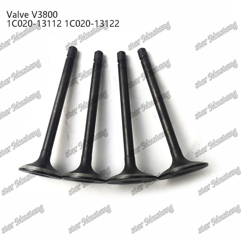 V3800 1C020-13112 1C020-13122 Bagian Mesin Diesel Original Stock Integral Structure Valve dengan Dukungan Online