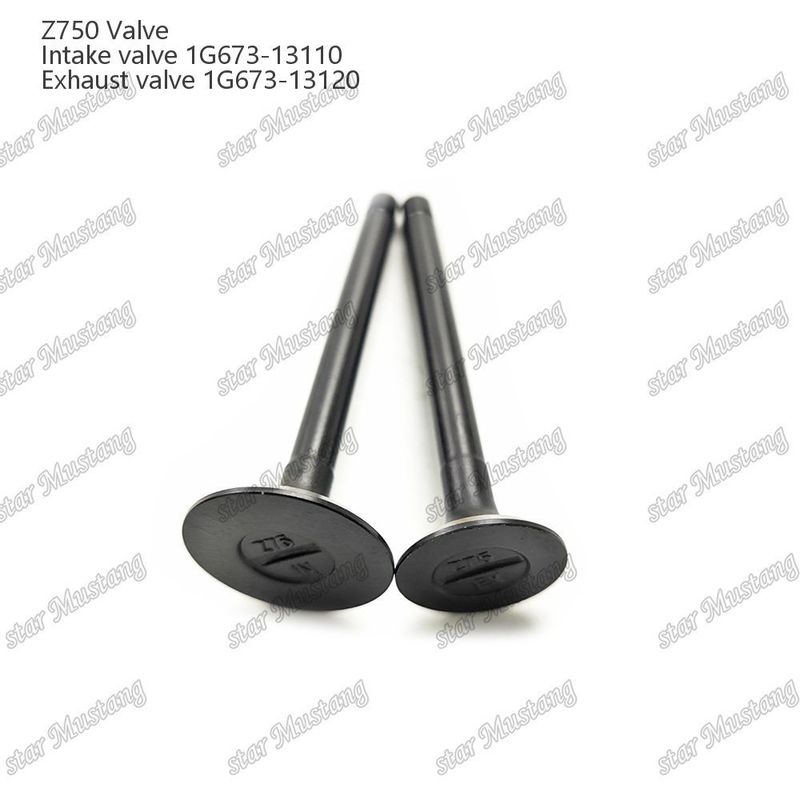 Integral Struktur Valve Z750 1G673-13110 1G673-13120 Mesin Diesel Bagian Asli Stok dengan Dukungan Online Setelah