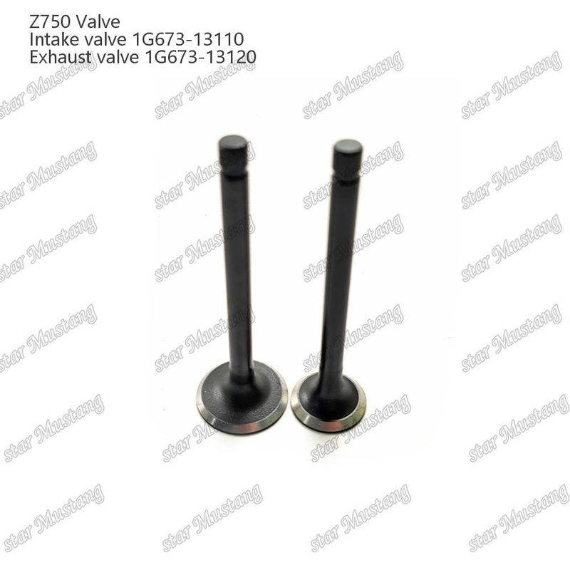 Integral Struktur Valve Z750 1G673-13110 1G673-13120 Mesin Diesel Bagian Asli Stok dengan Dukungan Online Setelah