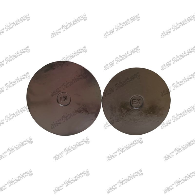 Integral Structure Valve 6D24 ME051063 ME051064 Mesin Diesel Bagian Asli Stok Dengan Dukungan Online Setelah