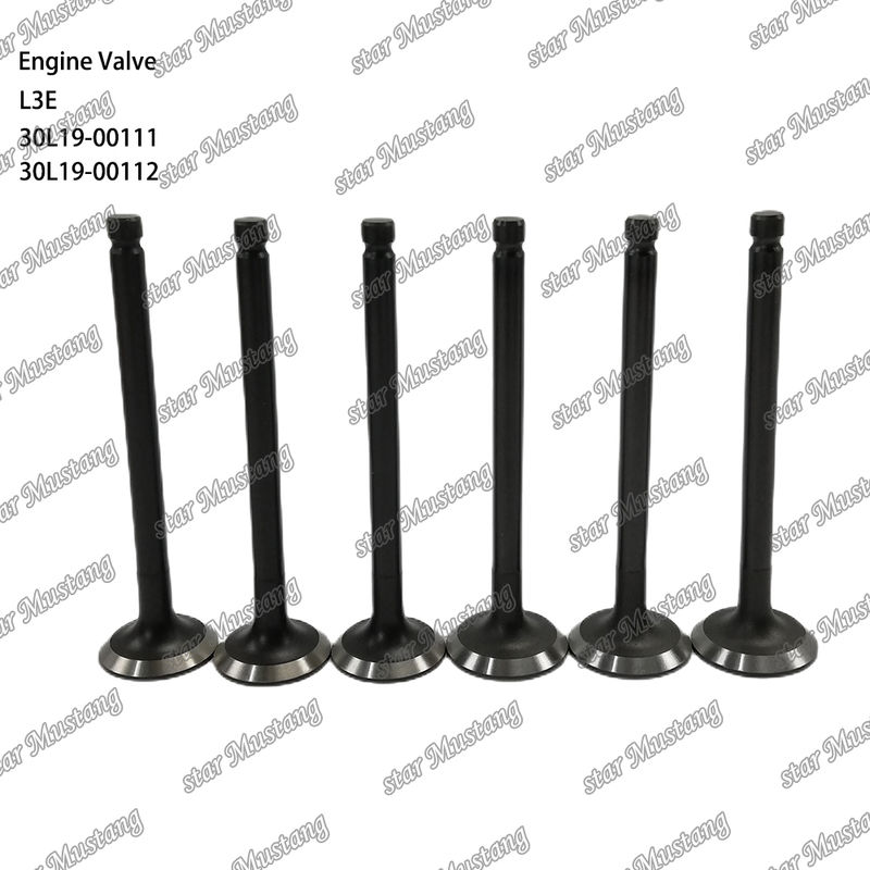 L3E 30L19-00111 30L19-00112 Suku Cadang Mesin Diesel Stok Asli dengan Dukungan Online Setelah